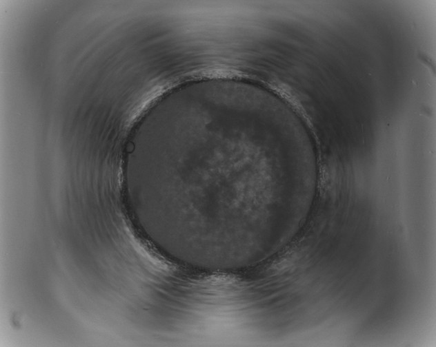 X0000102230063200808081357