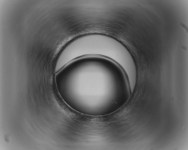 X0000102230064200808081357