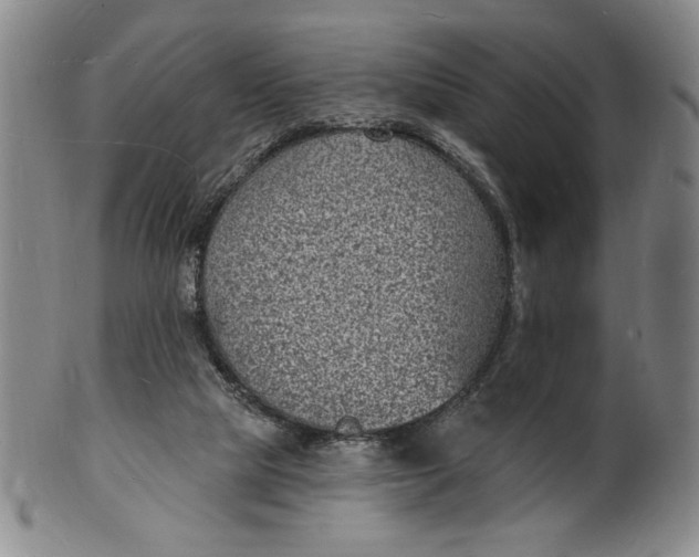 X0000102230065200808081357