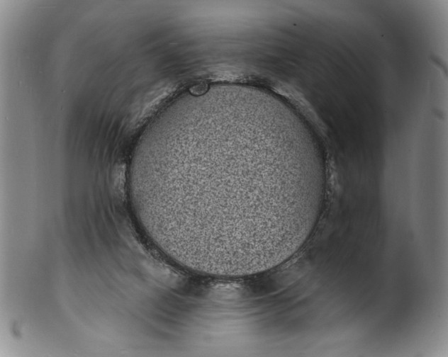 X0000102230066200808081357