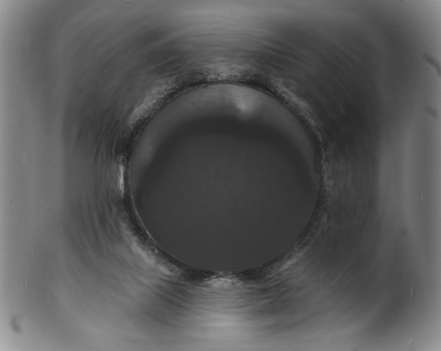 X0000102230067200808081357