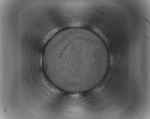 X0000102230068200808081357
