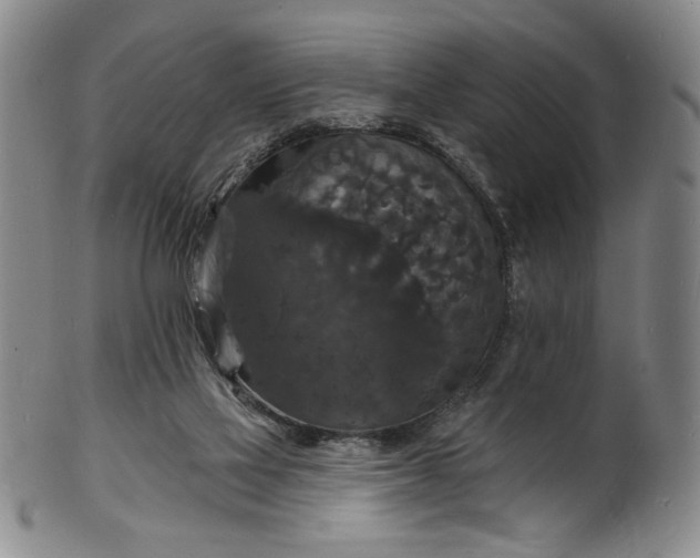 X0000102230069200808081357