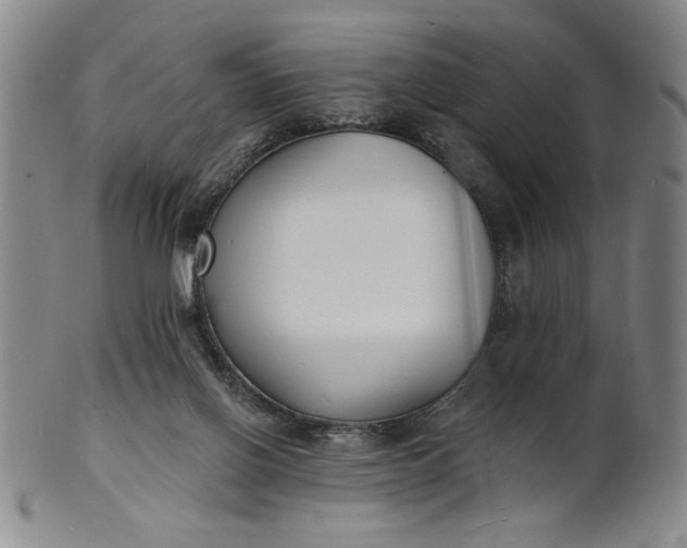 X0000102230070200808081357
