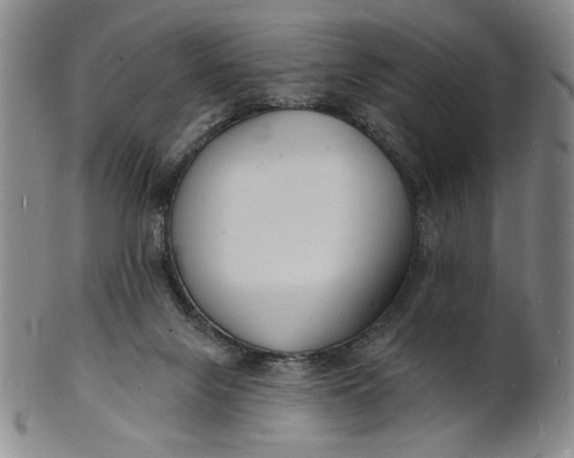 X0000102230071200808081357
