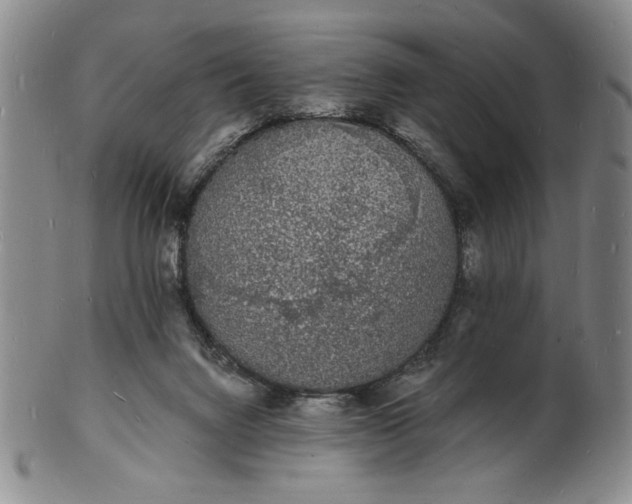 X0000102230072200808081357