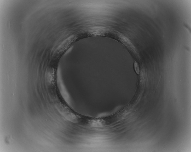 X0000102230073200808081357
