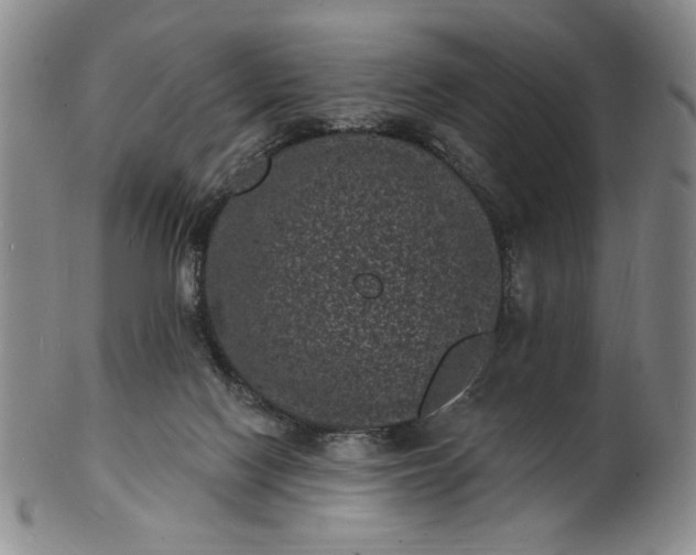 X0000102230074200808081357