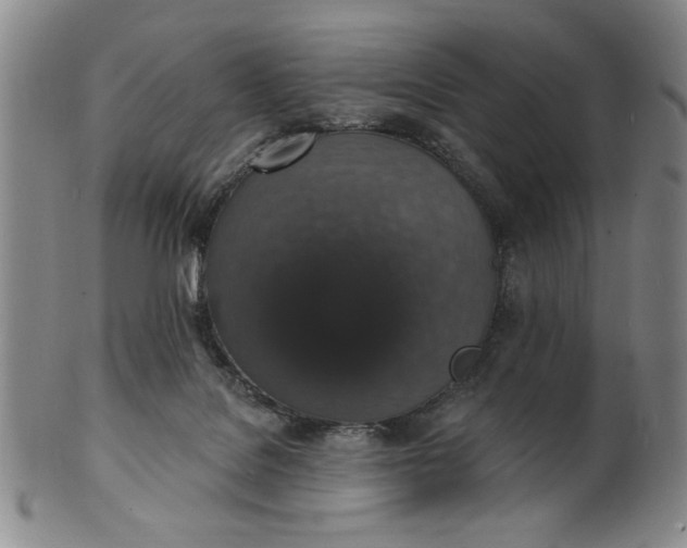 X0000102230076200808081357