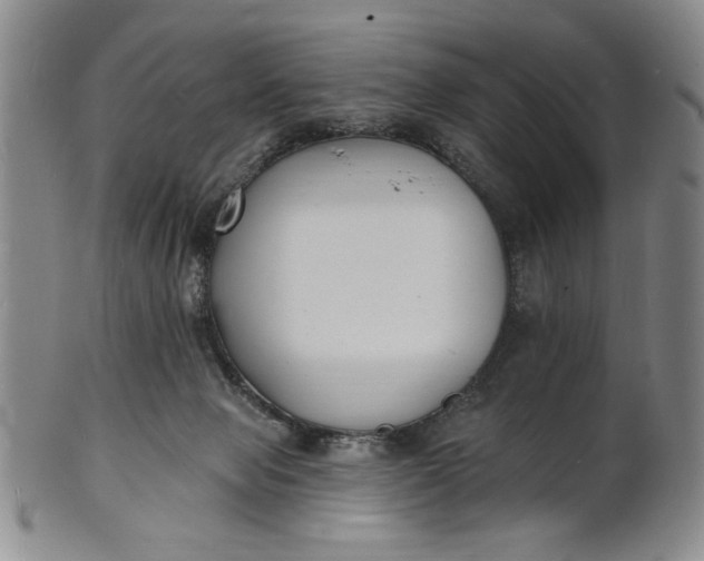 X0000102230077200808081357