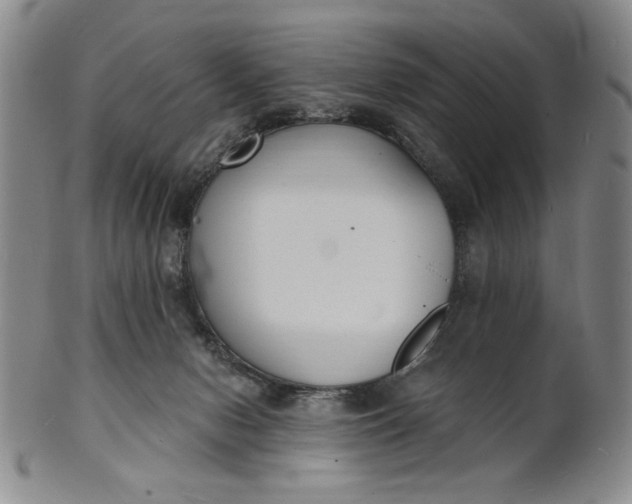 X0000102230078200808081357