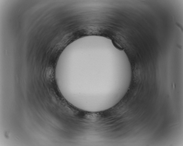 X0000102230079200808081357