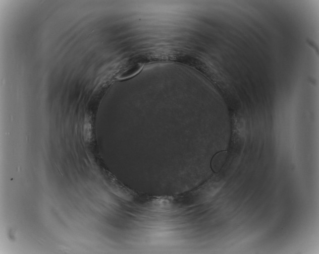 X0000102230080200808081357