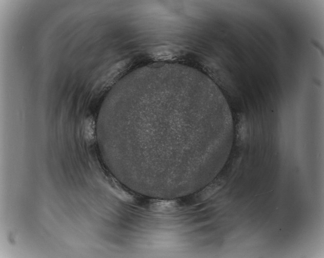 X0000102230081200808081357