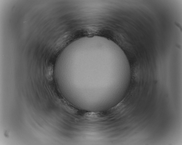 X0000102230082200808081357