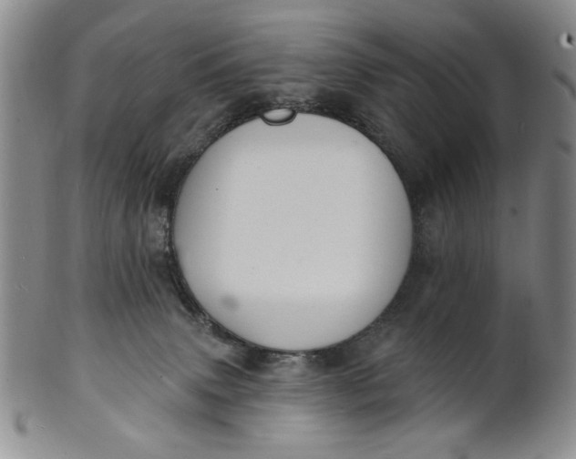 X0000102230083200808081357