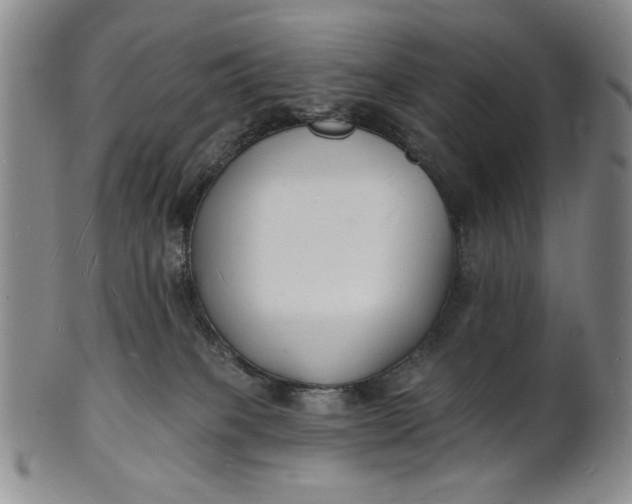 X0000102230085200808081357