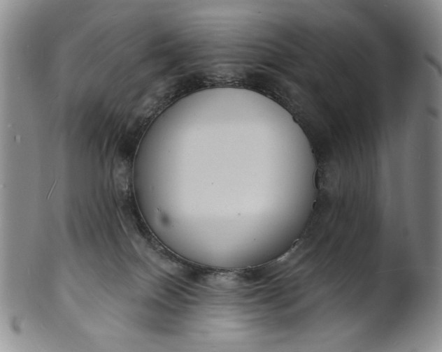 X0000102230086200808081357