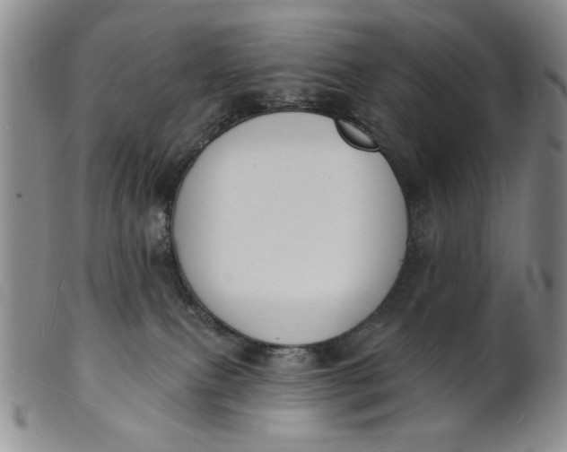 X0000102230087200808081357
