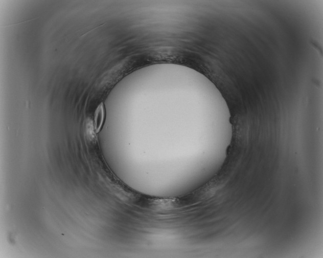 X0000102230089200808081357