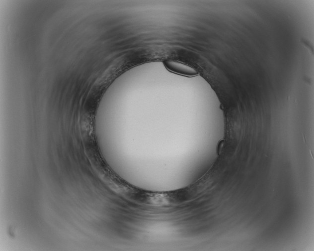 X0000102230091200808081357