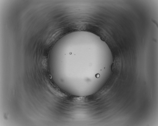 X0000102230092200808081357