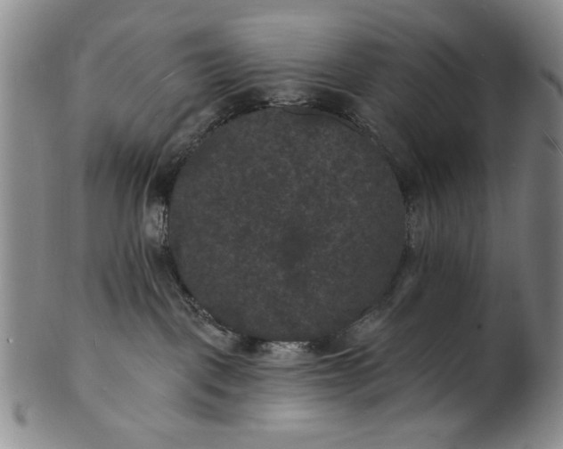 X0000102230093200808081357