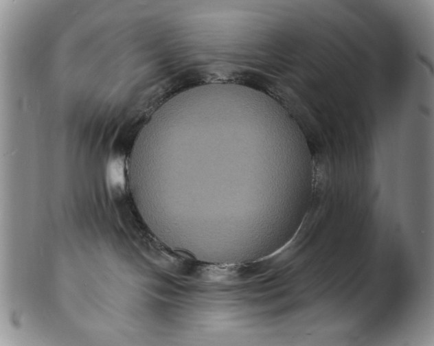 X0000102230094200808081357