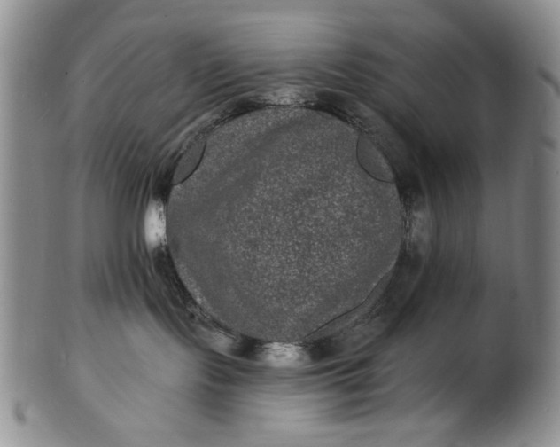 X0000102230095200808081357