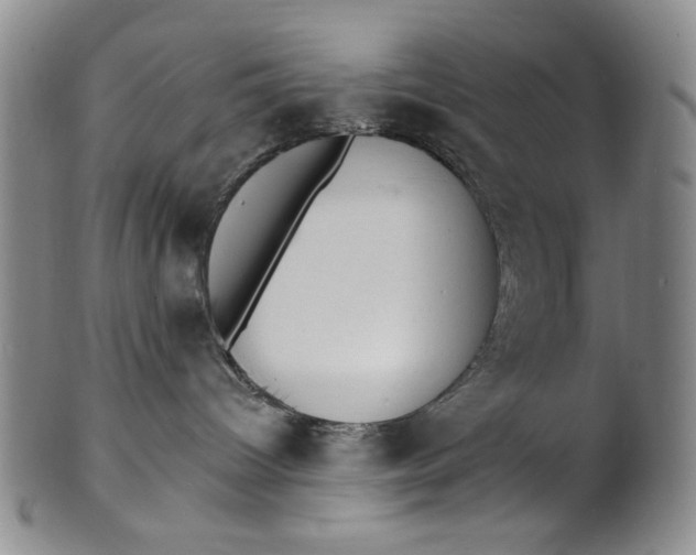 X0000102230096200808081357