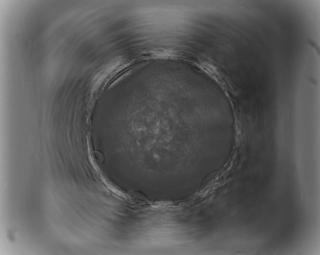 X0000102230097200808081356