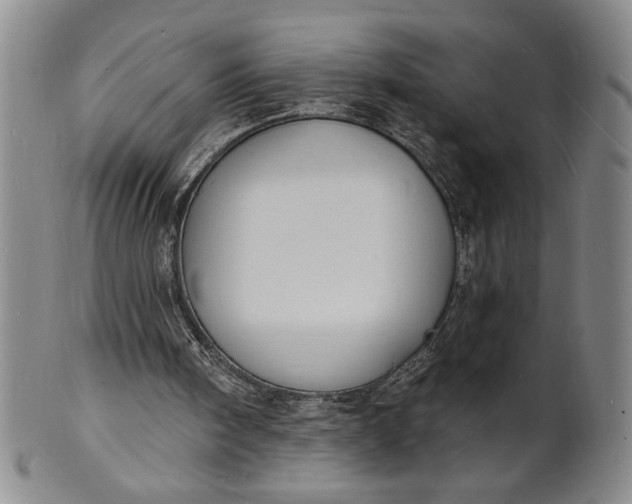 X0000102230098200808081356