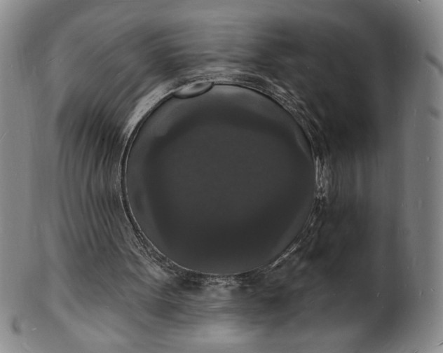 X0000102230099200808081356