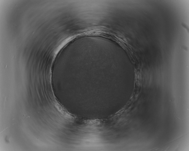 X0000102230100200808081356