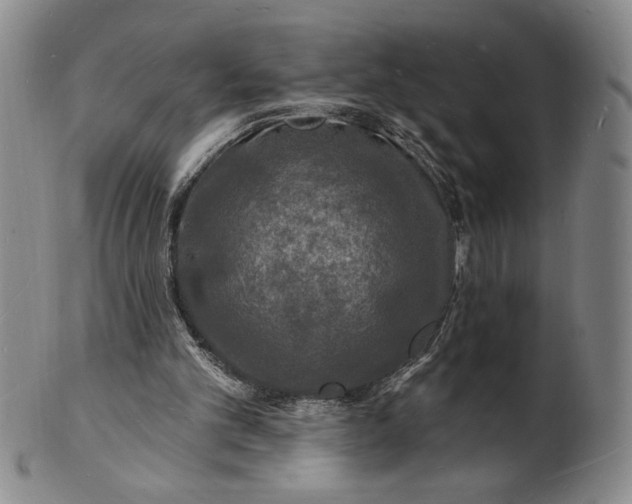 X0000102230101200808081356