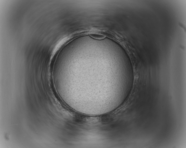 X0000102230102200808081356