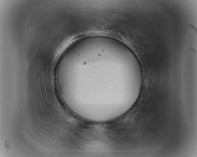 X0000102230103200808081356