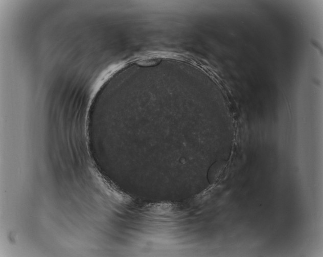 X0000102230104200808081356