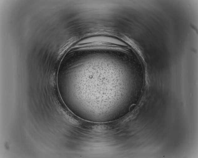 X0000102230105200808081356