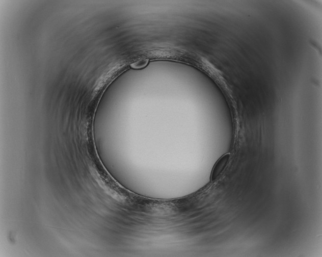 X0000102230106200808081356