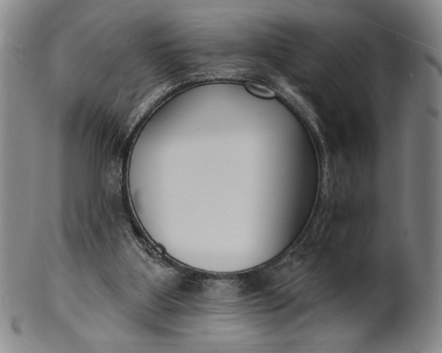 X0000102230107200808081356