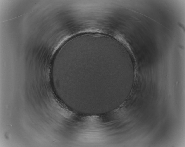 X0000102230108200808081356
