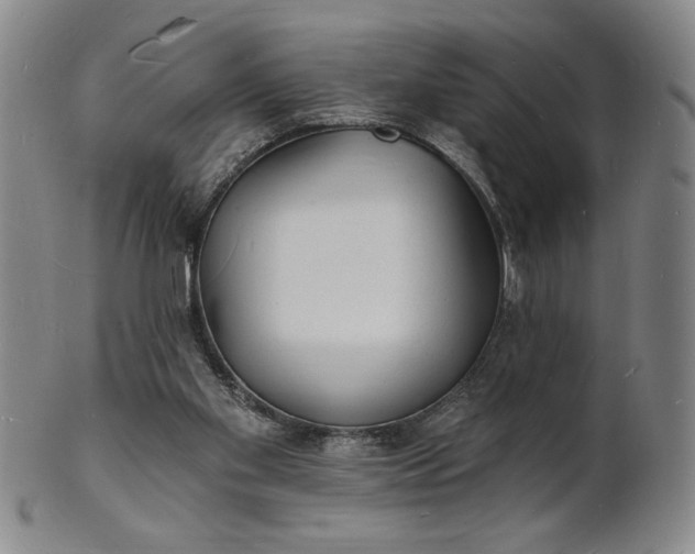 X0000102230109200808081356