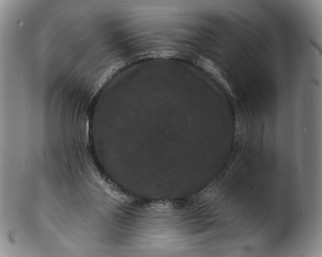 X0000102230110200808081356