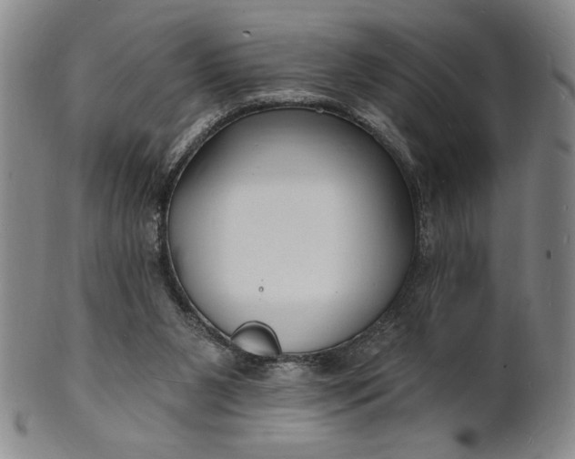 X0000102230111200808081356