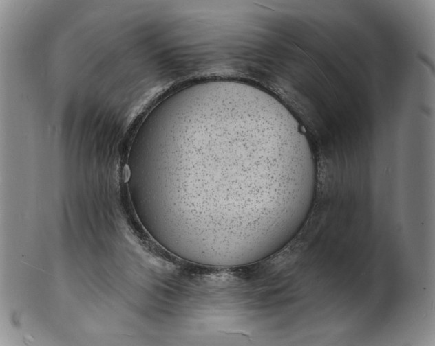 X0000102230112200808081356