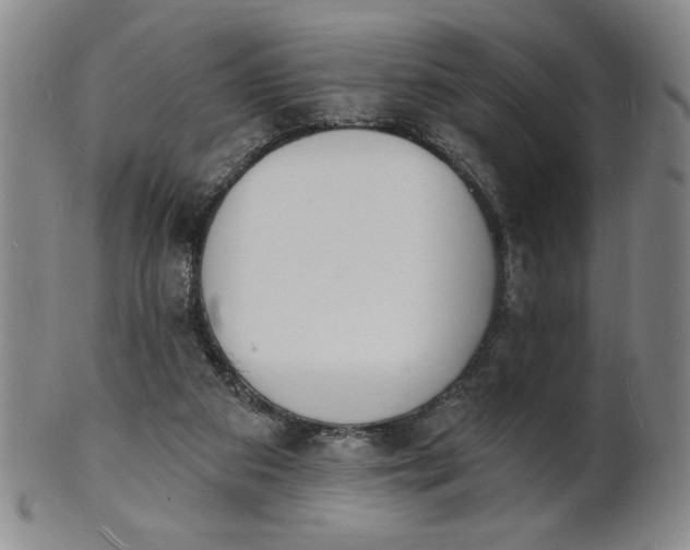 X0000102230113200808081356