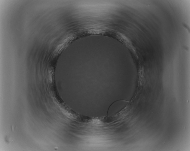 X0000102230114200808081356