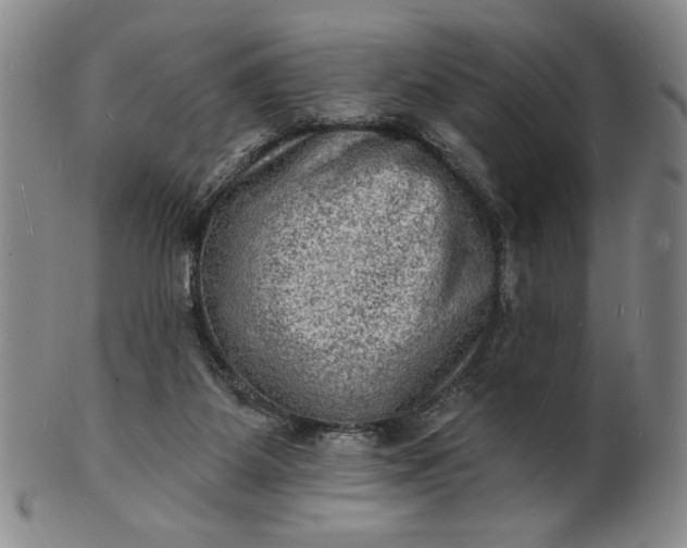 X0000102230115200808081356