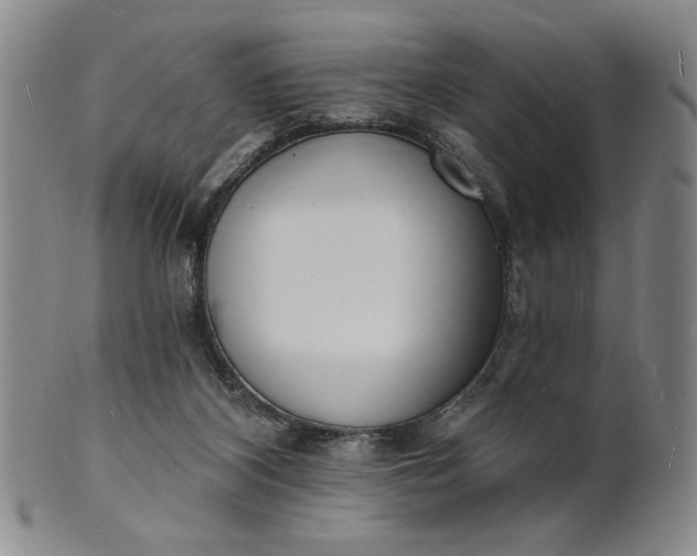 X0000102230116200808081356